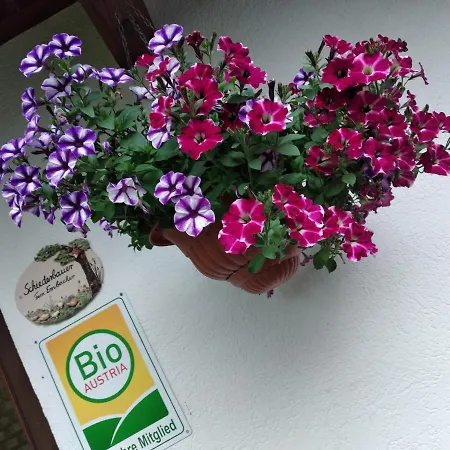 Bio-Bauernhof Schiederhof Appartement Fusch an der Grossglocknerstrasse Buitenkant foto