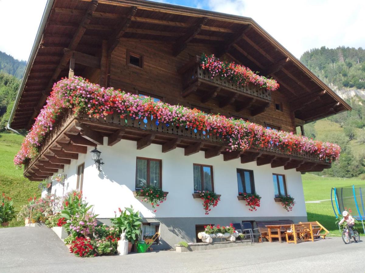 Bio-bauernhof Schiederhof *